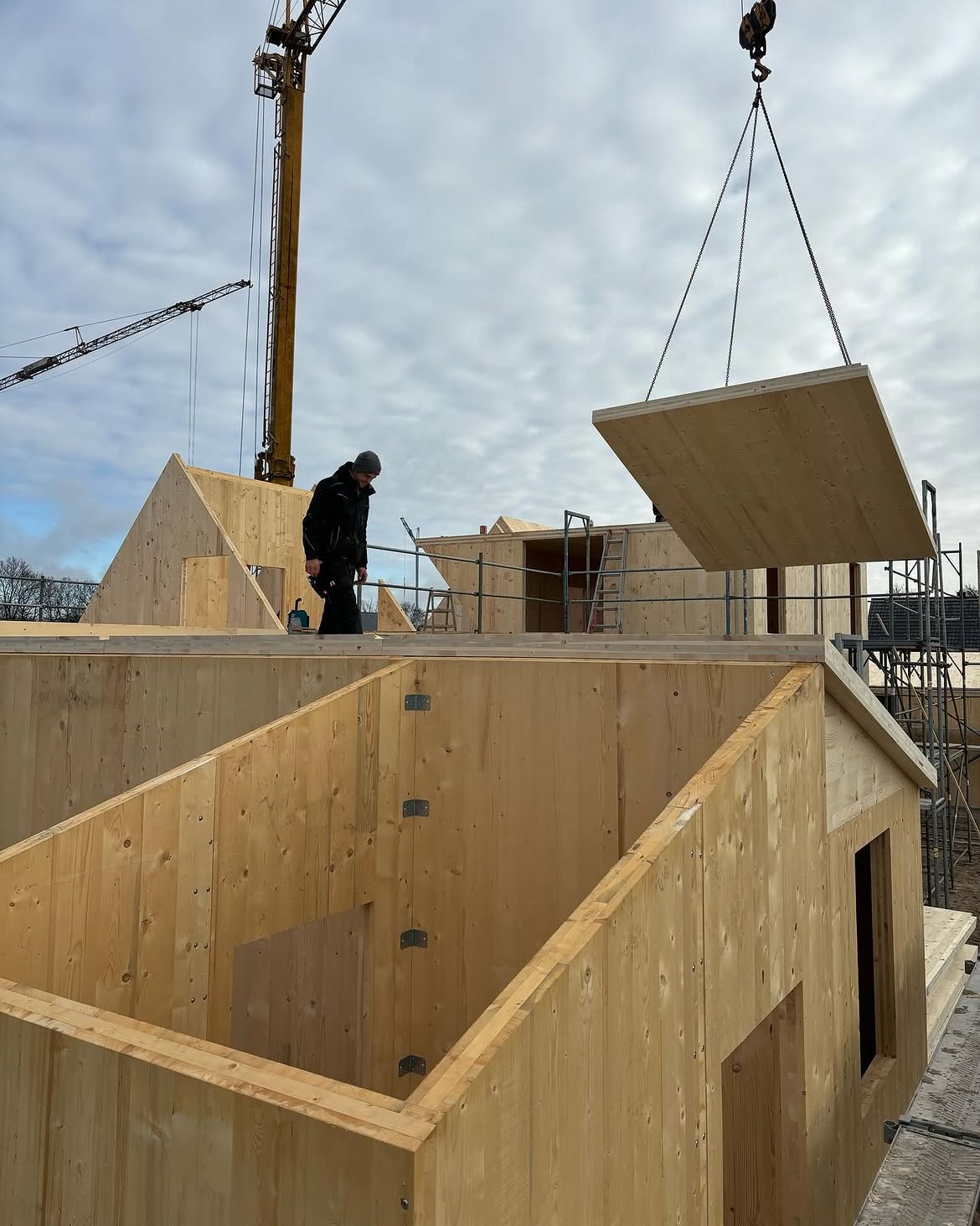 CLT-Elemente werden per Kran montiert